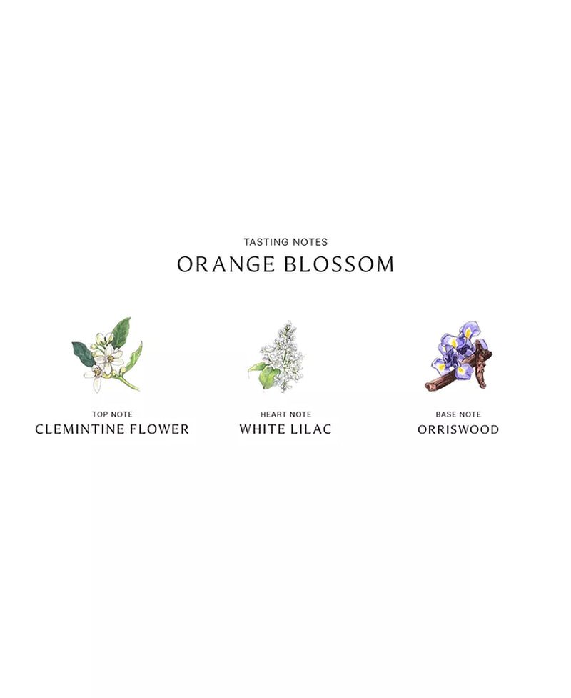 Jo Malone - Orange Blossom - OPULENTIA